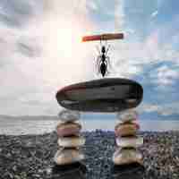 语​音﻿识‍别‌模‍块​有​哪​些﻿